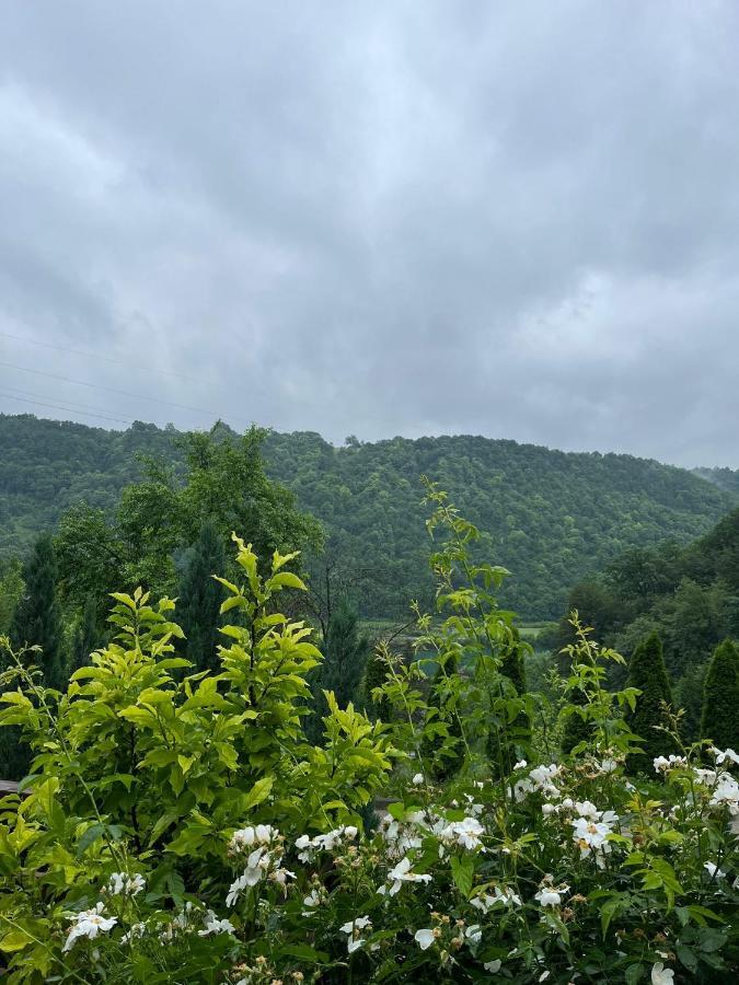 Villa Nature บีฮัช ภายนอก รูปภาพ