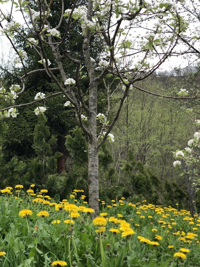 Villa Nature บีฮัช ภายนอก รูปภาพ